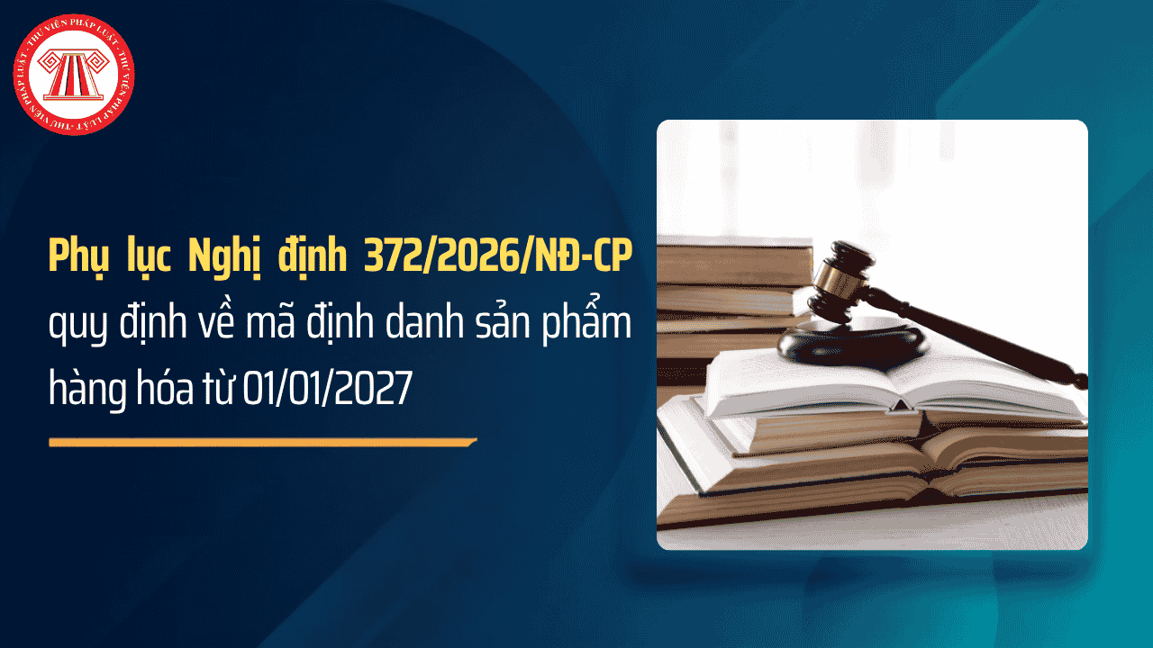 Bài Viết Bản Án