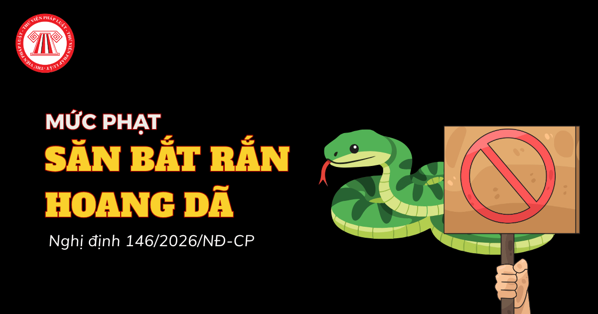 Săn bắt rắn hoang dã để quay video có thể bị phạt đến 400 triệu đồng đúng không?