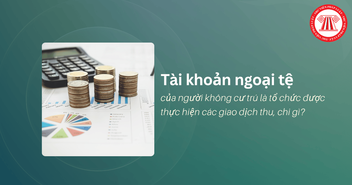 Tài khoản ngoại tệ của người không cư trú là tổ chức được thực hiện các giao dịch thu, chi gì?