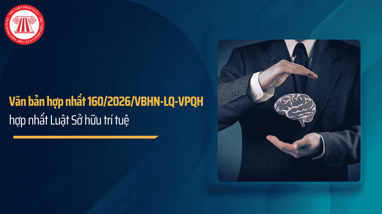 Bài Viết Bản Án