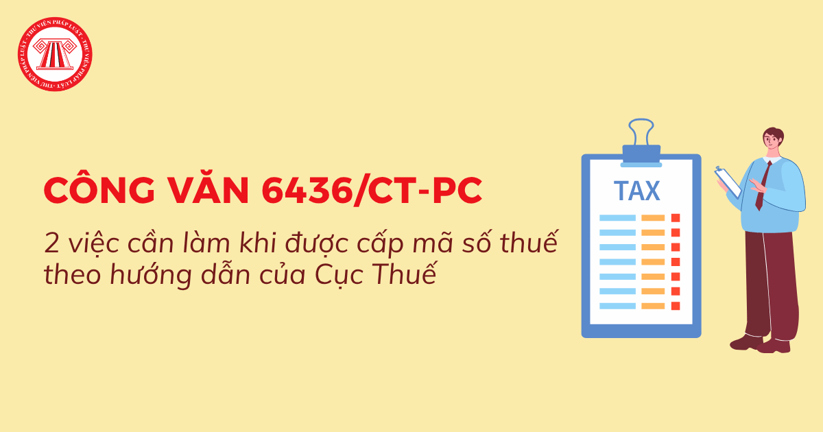 2 việc cần làm khi được cấp mã số thuế theo Công văn 6436 CT PC 2026 của Cục thuế chi tiết?