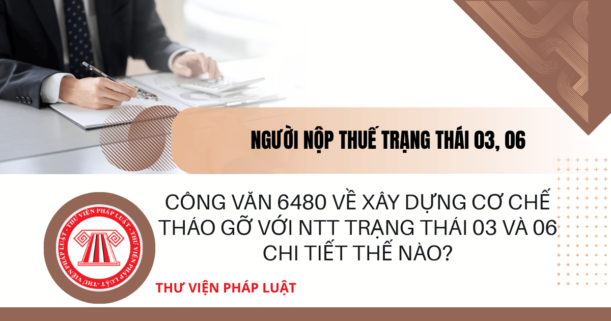 Công văn 6480 về xây dựng cơ chế tháo gỡ với NTT trạng thái 03 và 06 chi tiết thế nào?