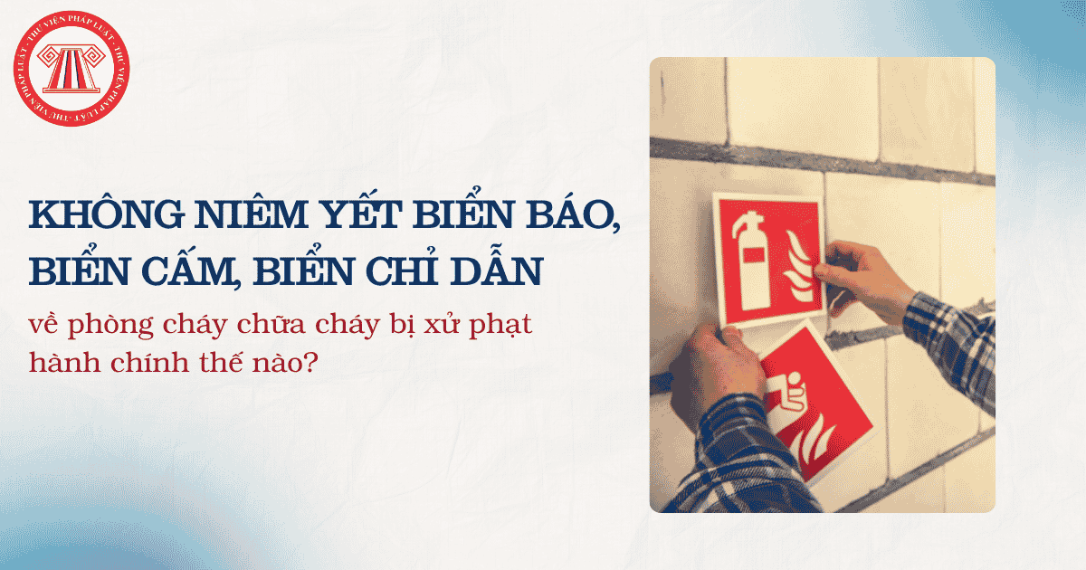 Bài Viết Bản Án