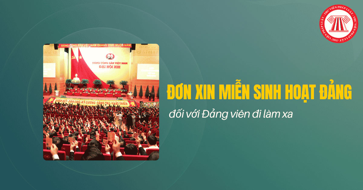Bài Viết Bản Án