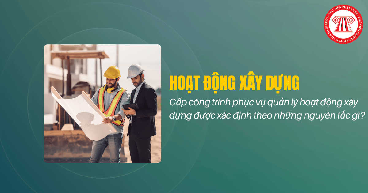 Bài Viết Bản Án