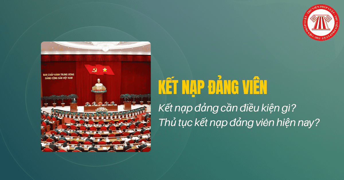Bài Viết Bản Án