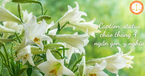Caption, status chào tháng 4 ngắn gọn, ý nghĩa? Tháng 4 có những ngày lễ quan trọng gì? (Hình từ Internet)
