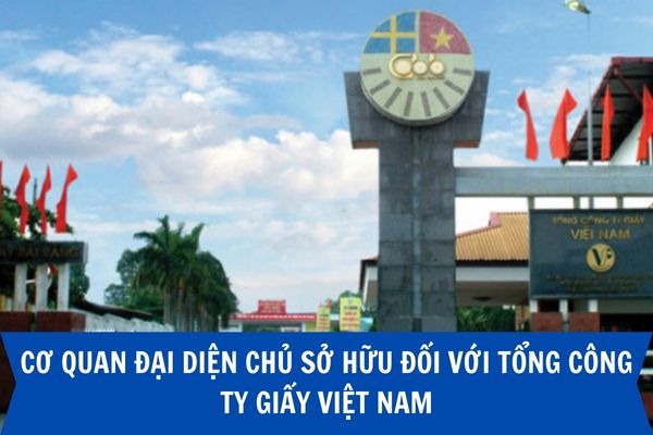 Đại diện chủ sở hữu đối với Tổng Công ty Giấy Việt Nam là cơ quan nào?