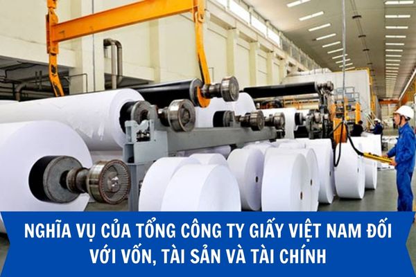 Nghĩa vụ của Tổng Công ty Giấy Việt Nam đối với vốn, tài sản và tài chính là gì?