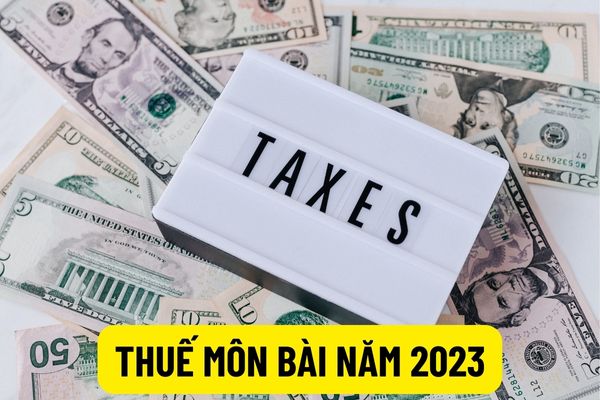 Chậm nộp, không nộp hồ sơ khai thuế môn bài 2023 bị phạt bao nhiêu tiền? Ai là người phải nộp thuế môn bài 2023?
