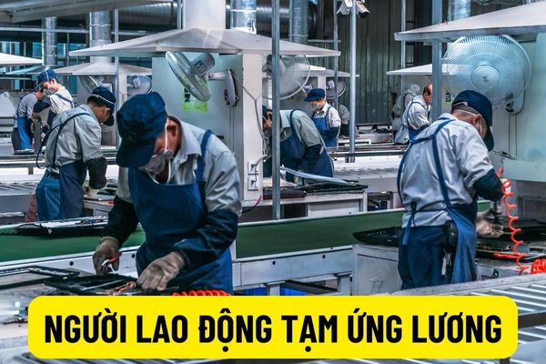 Hỏi đáp pháp luật