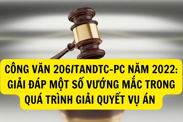 Công văn 206/TANDTC-PC năm 2022: Giải đáp vướng mắc trong quá trình giải quyết các vụ án hình sự, dân sự, kinh doanh thương mại, hành chính?