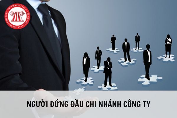 Người đứng đầu chi nhánh công ty là ai và có vai trò như thế nào?