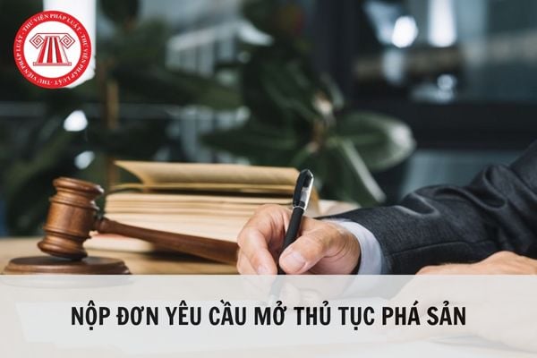 Chủ nợ được quyền nộp đơn yêu cầu mở thủ tục phá sản đối với doanh nghiệp khi nào?