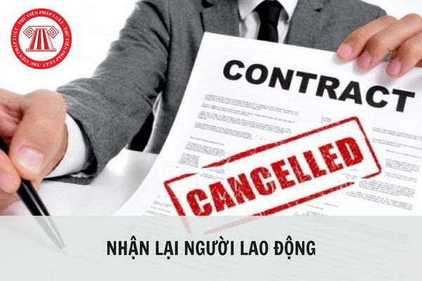 Công ty không muốn nhận lại người lao động khi chấm dứt hợp đồng lao động trái pháp luật thì có được không?