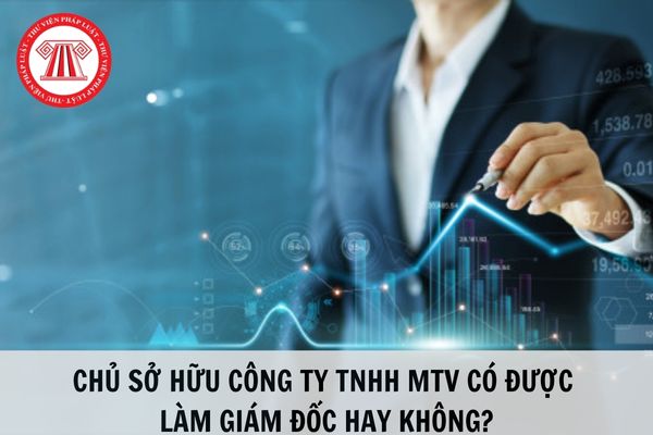 Chủ sở hữu Công ty TNHH MTV có được làm giám đốc công ty?