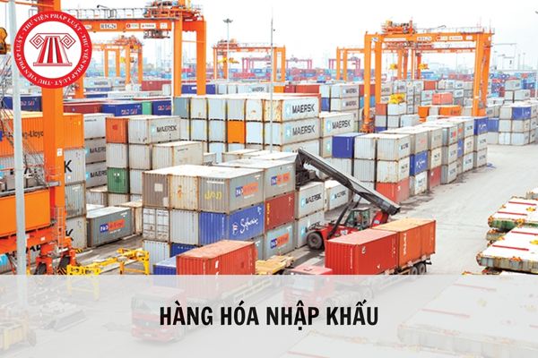 Hàng hóa nhập khẩu vào Việt Nam phải chịu các loại thuế nào?