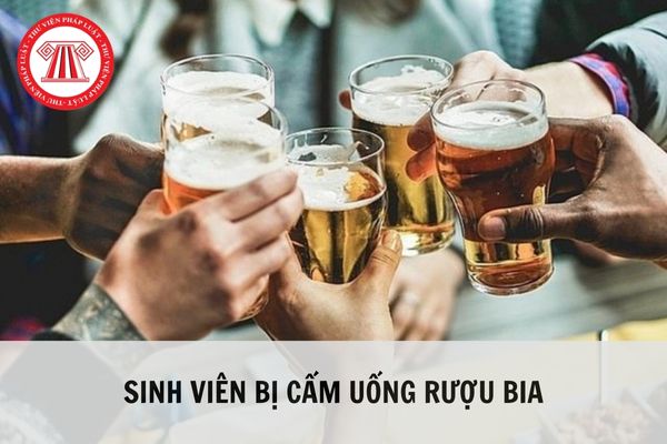 Khi nào sinh viên bị cấm uống rượu bia?