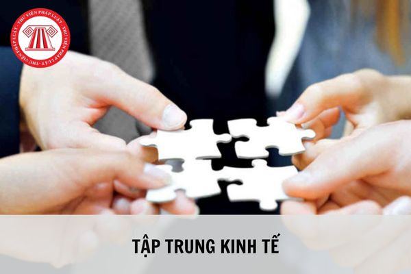 Tập trung kinh tế là gì? Các hình thức của tập trung kinh tế?