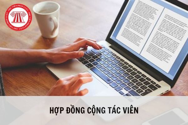 Cộng tác viên là gì? Nên ký hợp đồng nào với cộng tác viên?