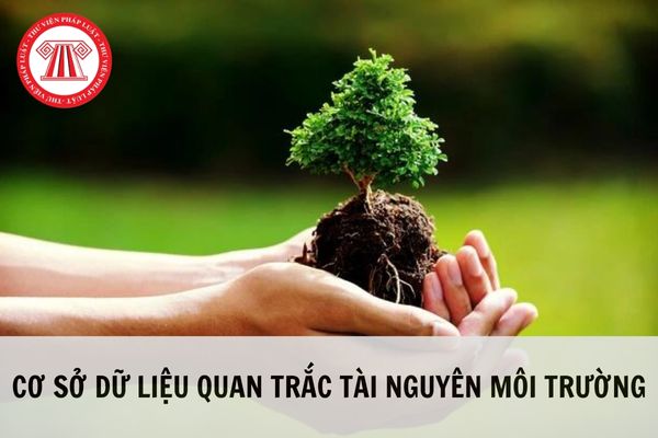 Cơ sở dữ liệu quan trắc tài nguyên và môi trường bao gồm những dữ liệu nào?