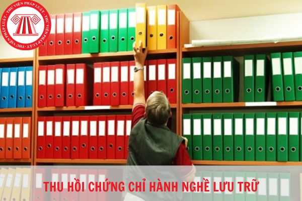 Cá nhân bị thu hồi chứng chỉ hành nghề lưu trữ có được đề nghị cấp lại không?