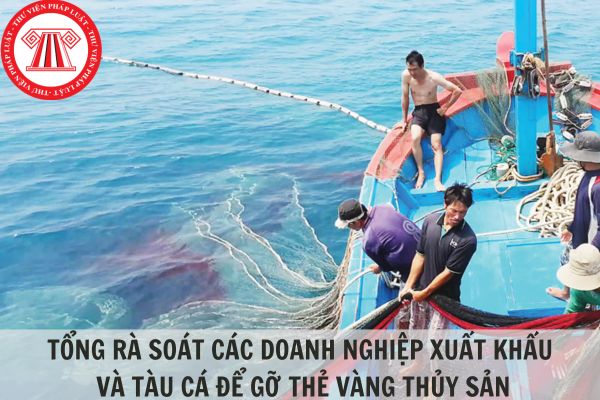 Tổng rà soát các doanh nghiệp xuất khẩu và tàu cá để gỡ thẻ vàng thủy sản theo yêu cầu của Thủ tướng Chính phủ?