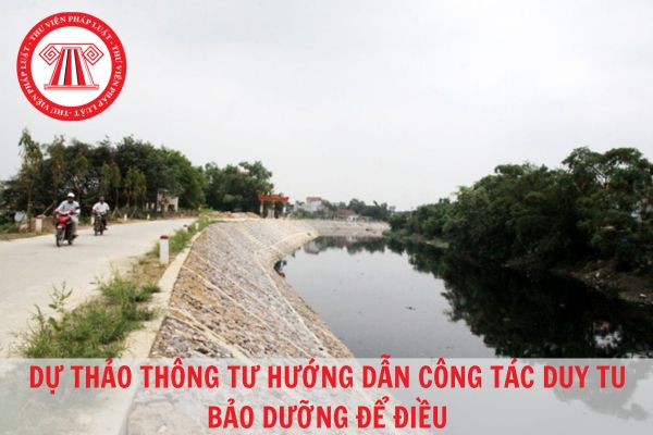 Dự thảo Thông tư hướng dẫn công tác duy tu bảo dưỡng đê điều và xử lý khẩn cấp sự cố đê điều?