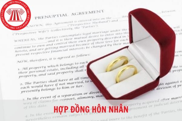 Hợp đồng hôn nhân trong trường hợp nào sẽ được pháp luật công nhận và  không công nhận?