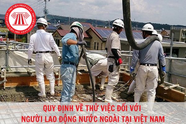Người lao động nước ngoài làm việc tại Việt Nam có cần thử việc không?
