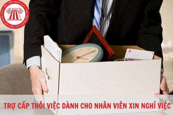 Người lao động xin nghỉ việc có được hưởng trợ cấp thôi việc không?