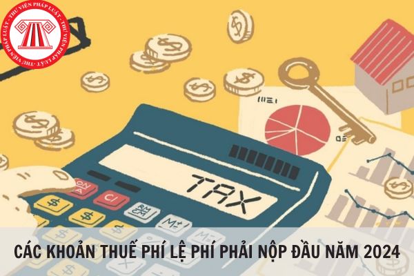 Các khoản thuế phí lệ phí cần phải nộp vào đầu năm 2024 của doanh nghiệp?