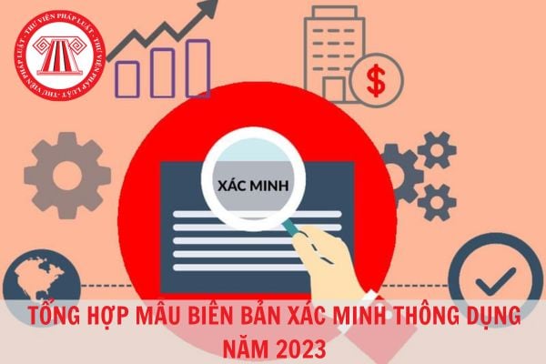 Tổng hợp mẫu biên bản xác minh thông dụng nhất hiện nay?