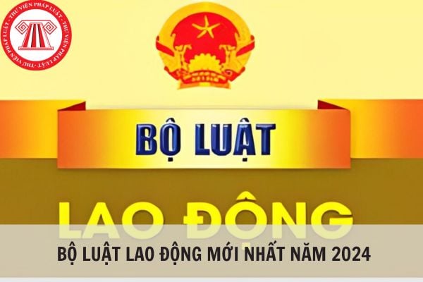 Bộ luật lao động mới nhất năm 2024 và các văn bản hướng dẫn thi hành?