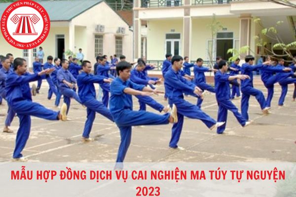 Mẫu hợp đồng dịch vụ cai nghiện ma túy tự nguyện chuẩn pháp lý mới nhất 2023?