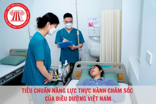 Năng lực thực hành chăm sóc của điều dưỡng Việt Nam gồm những tiêu chuẩn nào?