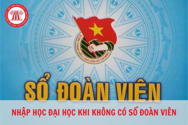 Không có sổ đoàn viên có được nhập học đại học không?