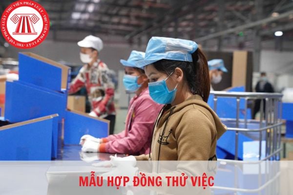 Mẫu hợp đồng thử việc thông dụng chuẩn pháp lý năm 2023?