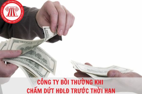 Công ty chấm dứt hợp đồng trước thời hạn bồi thường bao nhiêu?