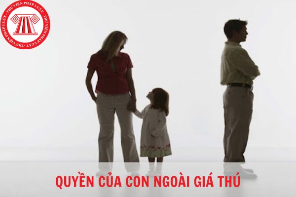 Thế nào là con ngoài giá thú? Con ngoài giá thú có quyền lợi gì?