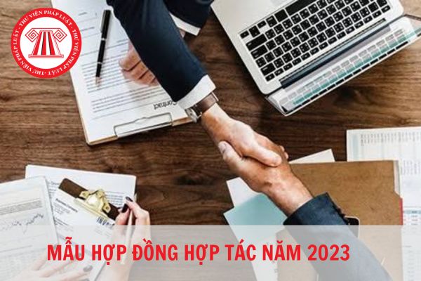 Mẫu hợp đồng hợp tác chuẩn pháp lý hiện nay?