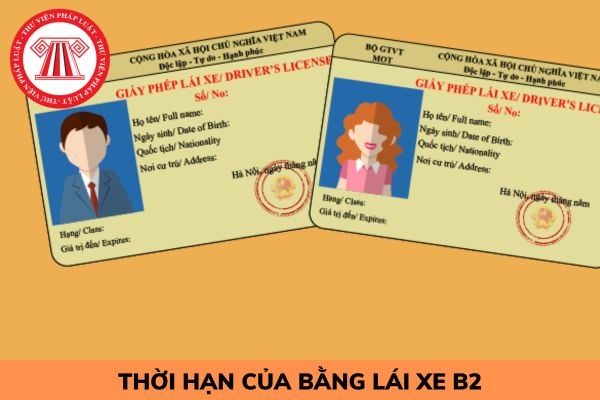 Bằng lái xe B2 có thời hạn bao lâu? Dùng bằng hết hạn bị phạt thế nào?