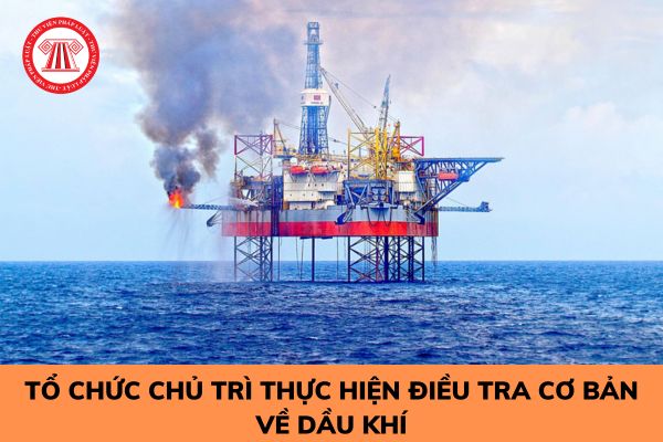 Tổ chức chủ trì thực hiện điều tra cơ bản về dầu khí cần những điều kiện gì?