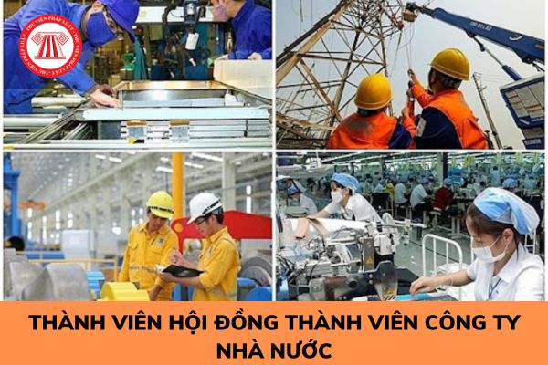 Thành viên Hội đồng thành viên công ty nhà nước cần tiêu chuẩn và điều kiện gì?