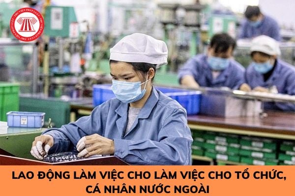 Hỏi đáp Pháp luật