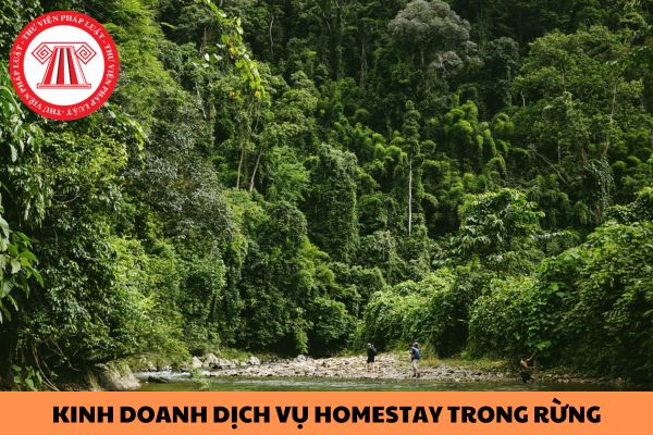 Tổ chức kinh doanh dịch vụ homestay trong rừng khi chưa được phép của chủ rừng thì bị xử phạt bao nhiêu tiền?