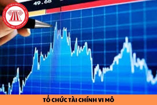 Mẫu Báo cáo kết quả hoạt động của tổ chức tài chính vi mô năm 2024 như thế nào?