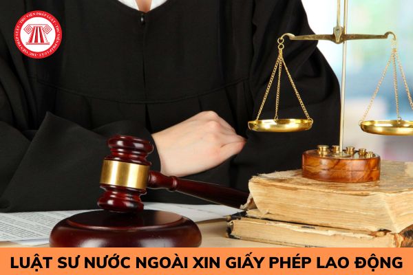 Luật sư nước ngoài làm việc tại Việt Nam thì có cần xin giấy phép lao động không?
