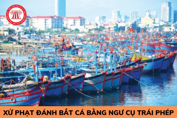 Đánh bắt cá bằng ngư cụ trái phép bị xử phạt như thế nào?