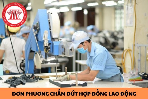 Người sử dụng lao động có quyền đơn phương chấm dứt hợp đồng lao động nếu người lao động không đồng ý bổ sung nội dung vào hợp đồng?